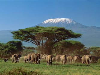 Safári de 4 dias em Tsavo East, Amboseli e Taita Hills saindo de Mombaça